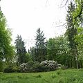 tannenfeld-sommer 2012-083